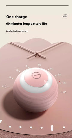 Smart Interactive Dog Toy Ball